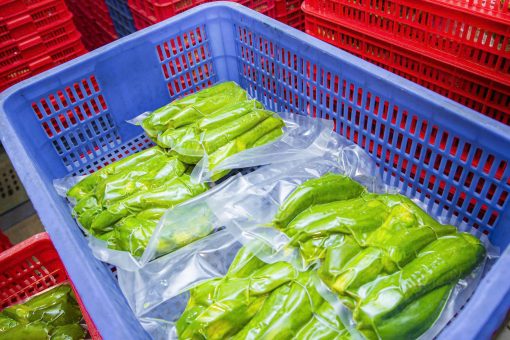 Bơ 034 túi lớn (1kg) - Ảnh 4