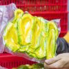 Bơ 034 túi lớn (1kg)