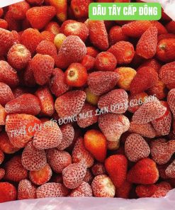 Dâu tây Đà Lạt đông lạnh 1kg