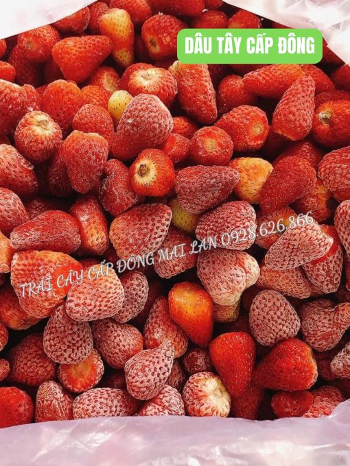 Dâu tây Đà Lạt đông lạnh 1kg