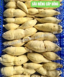 Sầu riêng cấp đông (Múi)