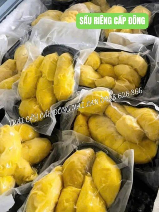 Sầu riêng cấp đông (Múi) - Ảnh 4