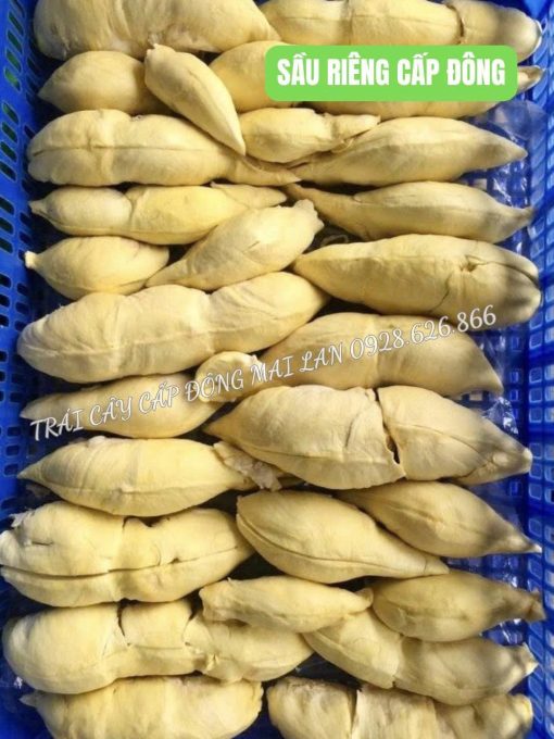 Sầu riêng cấp đông (Múi) - Ảnh 5