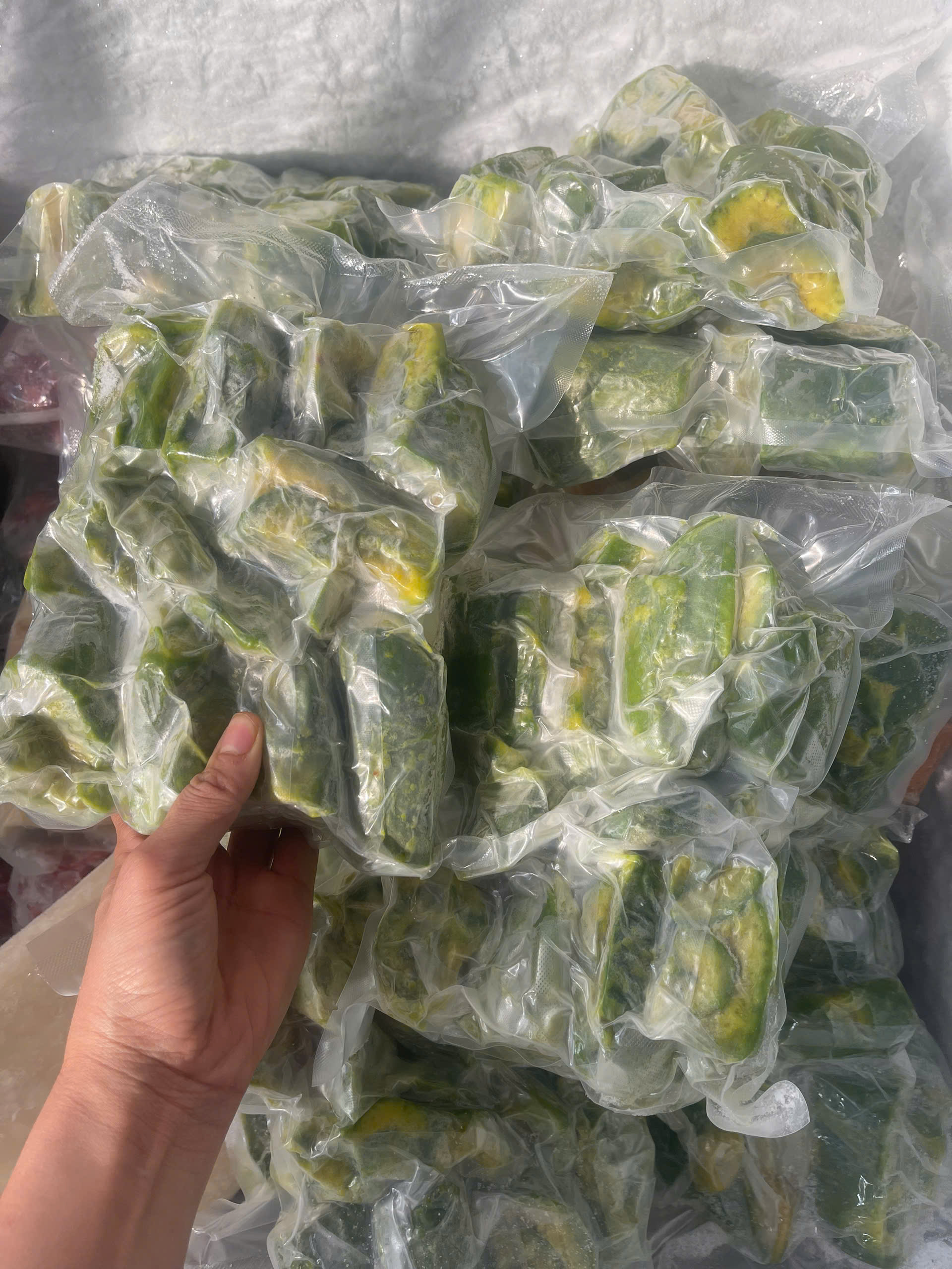 bơ cấp đông - trái cây cấp đông Mai Lan