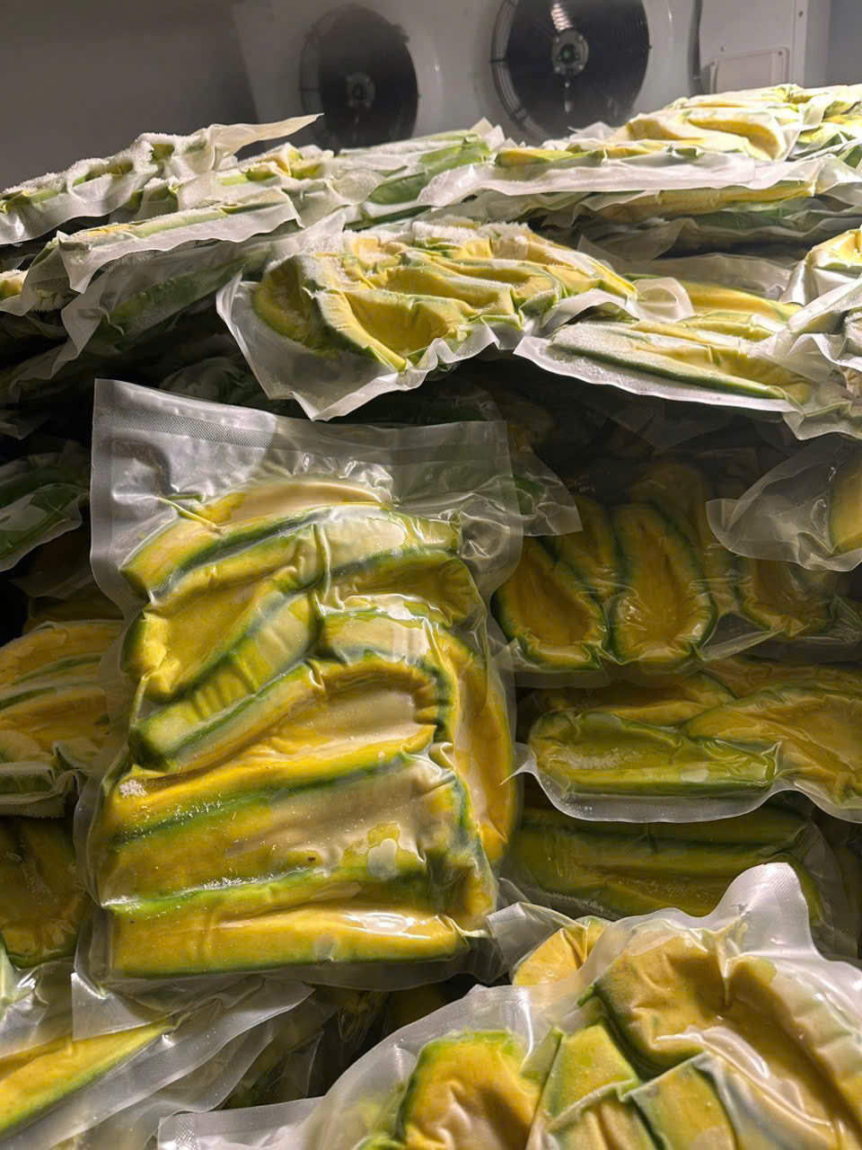 Bơ cấp đông Mai Lan