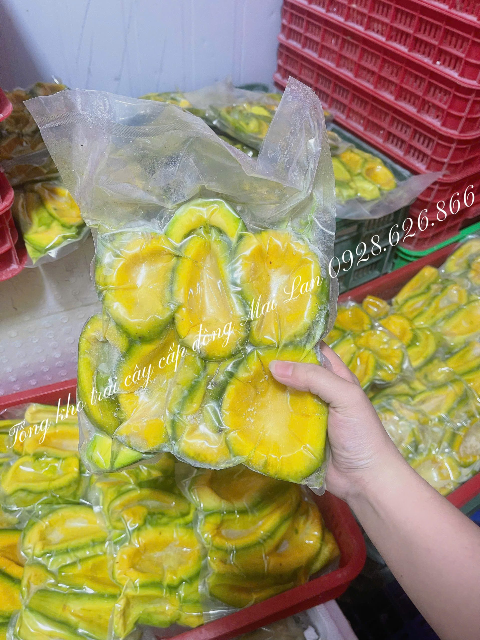 Bơ cấp đông - Trái cây cấp đông Mai Lan