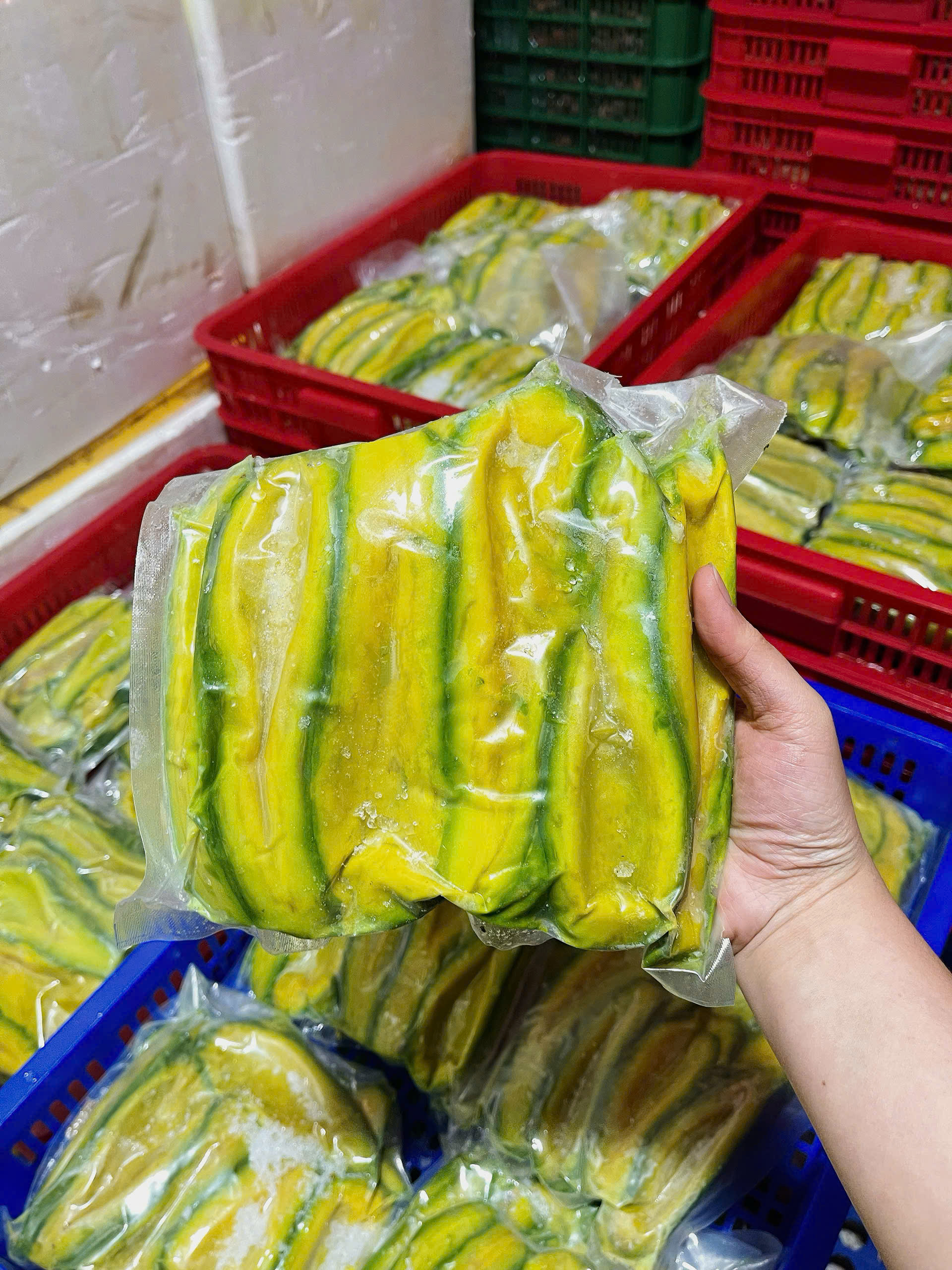 Bơ cấp đông Mai Lan