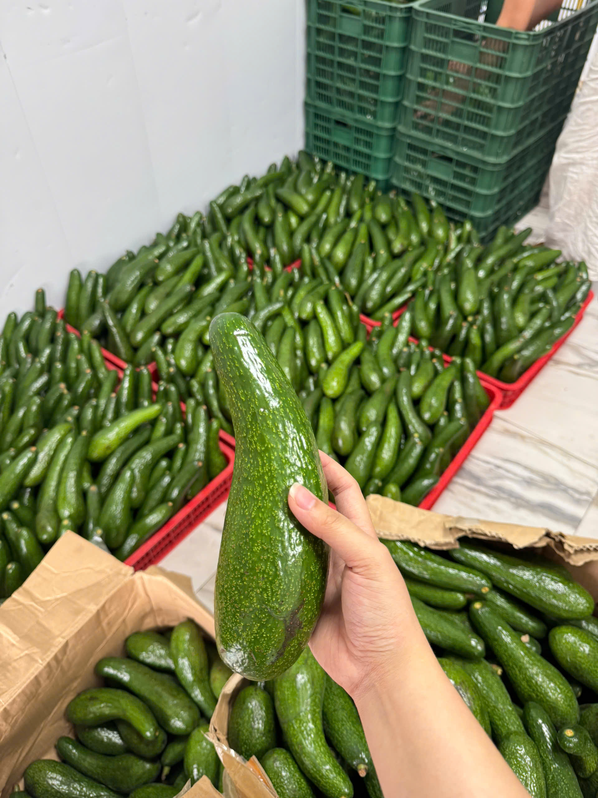 bơ tươi hay bơ cấp đông